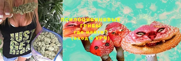 гашик Краснотурьинск